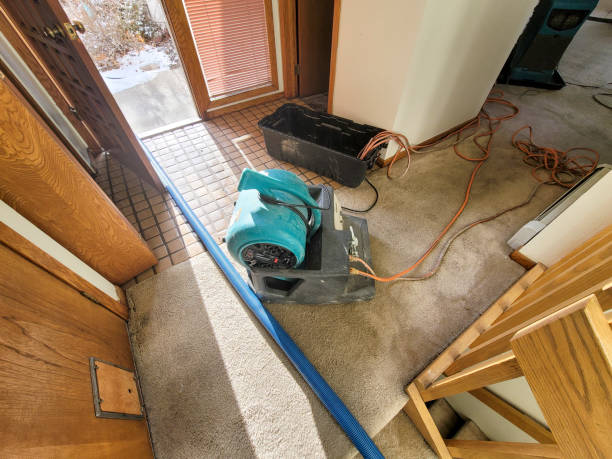 Fire Damage Restoration in South Roxana, IL