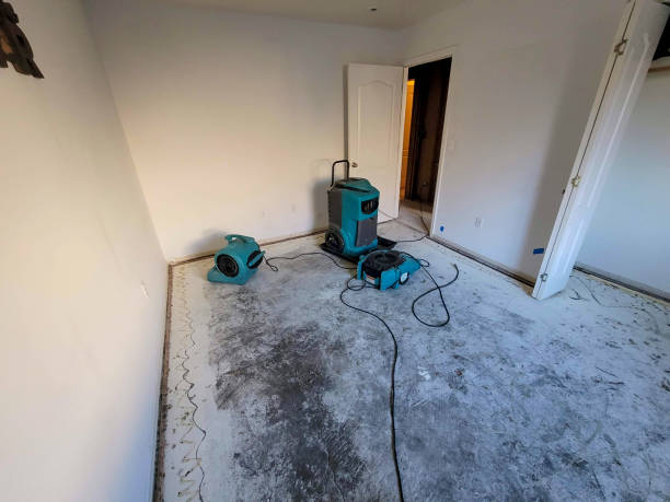 Best Water damage restoration company  in South Roxana, IL