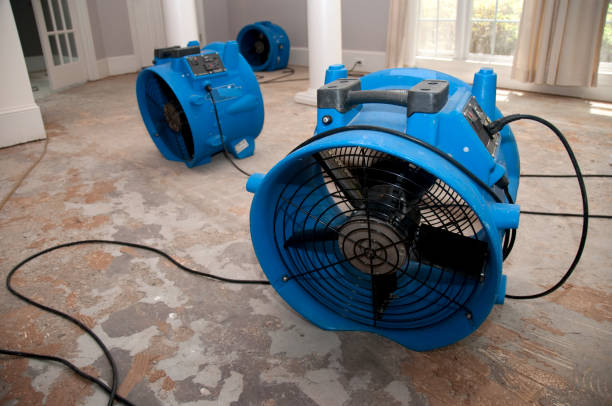 Best Water damage restoration near me  in South Roxana, IL