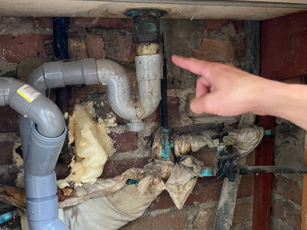 Best 24/7 water damage repair  in South Roxana, IL